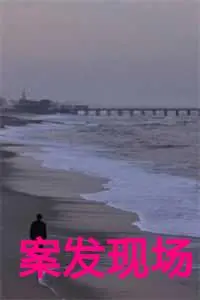 案发现场叶峰