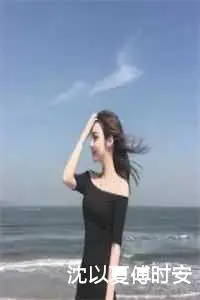 沈以夏傅时安