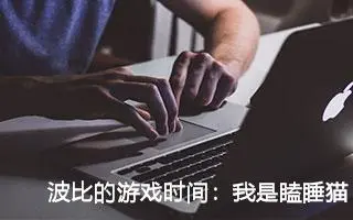 波比的游戏时间：我是瞌睡猫